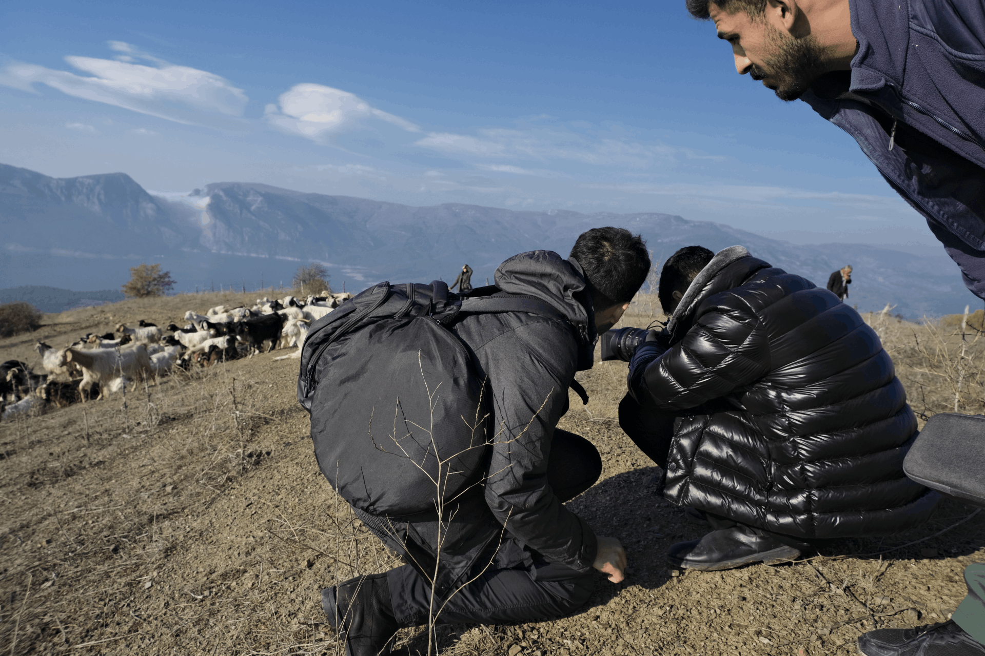 Mobirise Website Builder